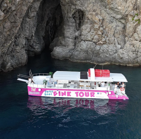 Catamaran Trip along Costa Viola with Swimming Stops.