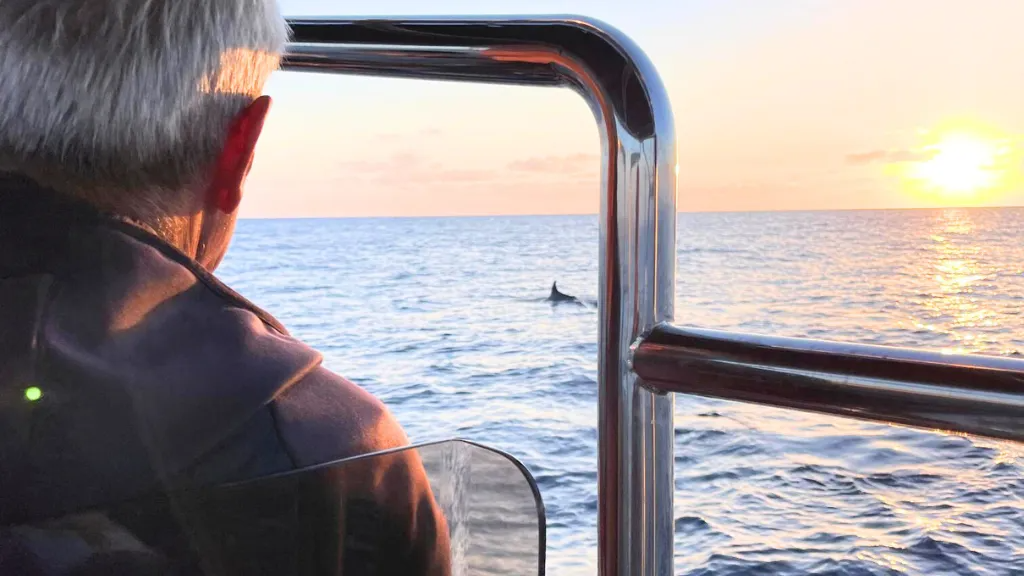 Sunrise RIB Boat Trip from Cala Ratjada with Dolphin Watching from Simply Tours Mallorca.