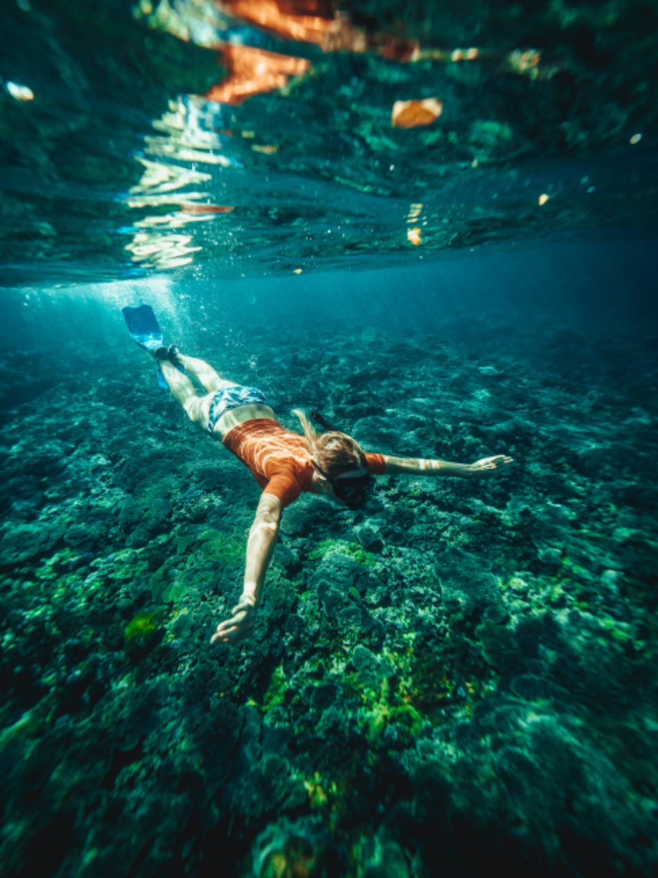 Snorkeling Trip in Les Anses-d'Arlet.