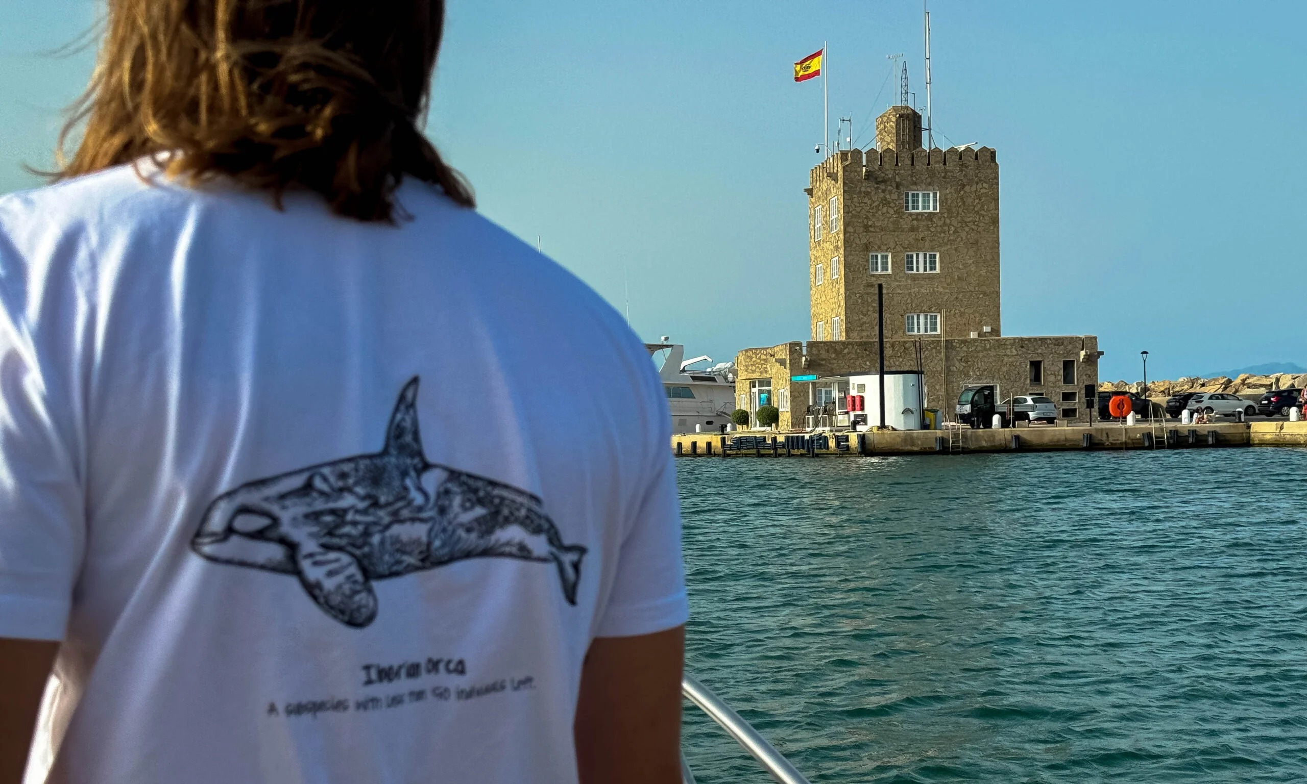 Private Whale & Dolphin Watching Boat Trip from Sotogrande with Drinks & Snacks.