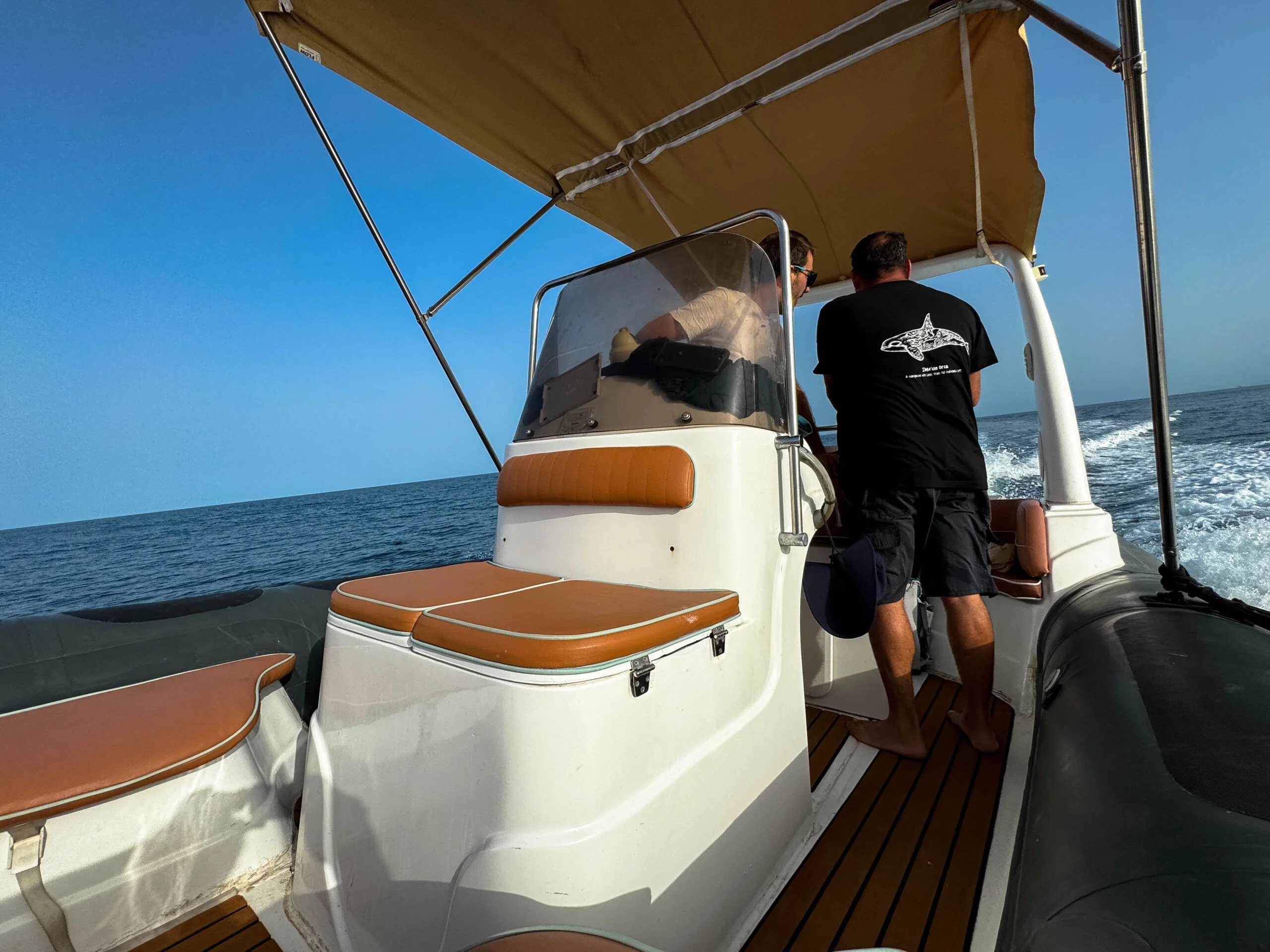 Private Whale & Dolphin Watching Boat Trip from Sotogrande with Drinks & Snacks from WeWhale Sotogrande.