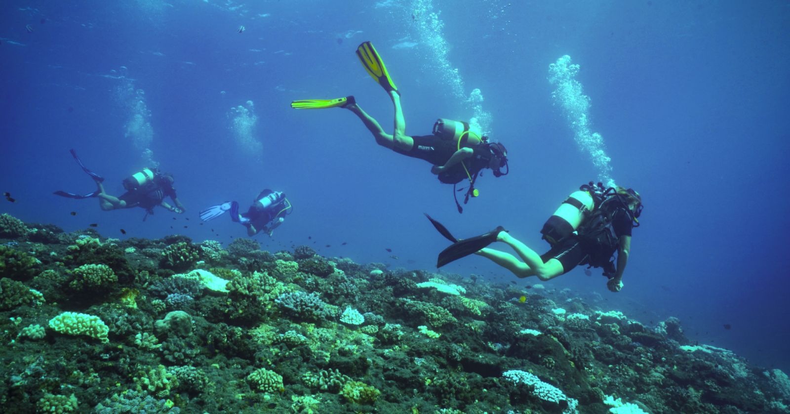 Trial Scuba Diving in l'Etang Salé (40 min.) from Plongée Salée La Réunion.