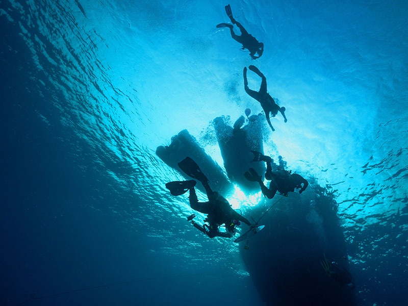 Trial Scuba Diving in l'Etang Salé (XXL 60 min.).