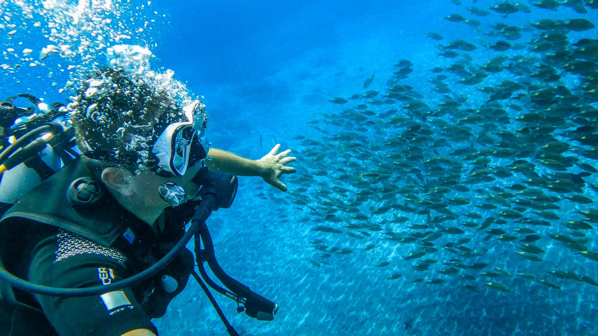 Guided Dive from l'Étang-Salé for Certified Divers.