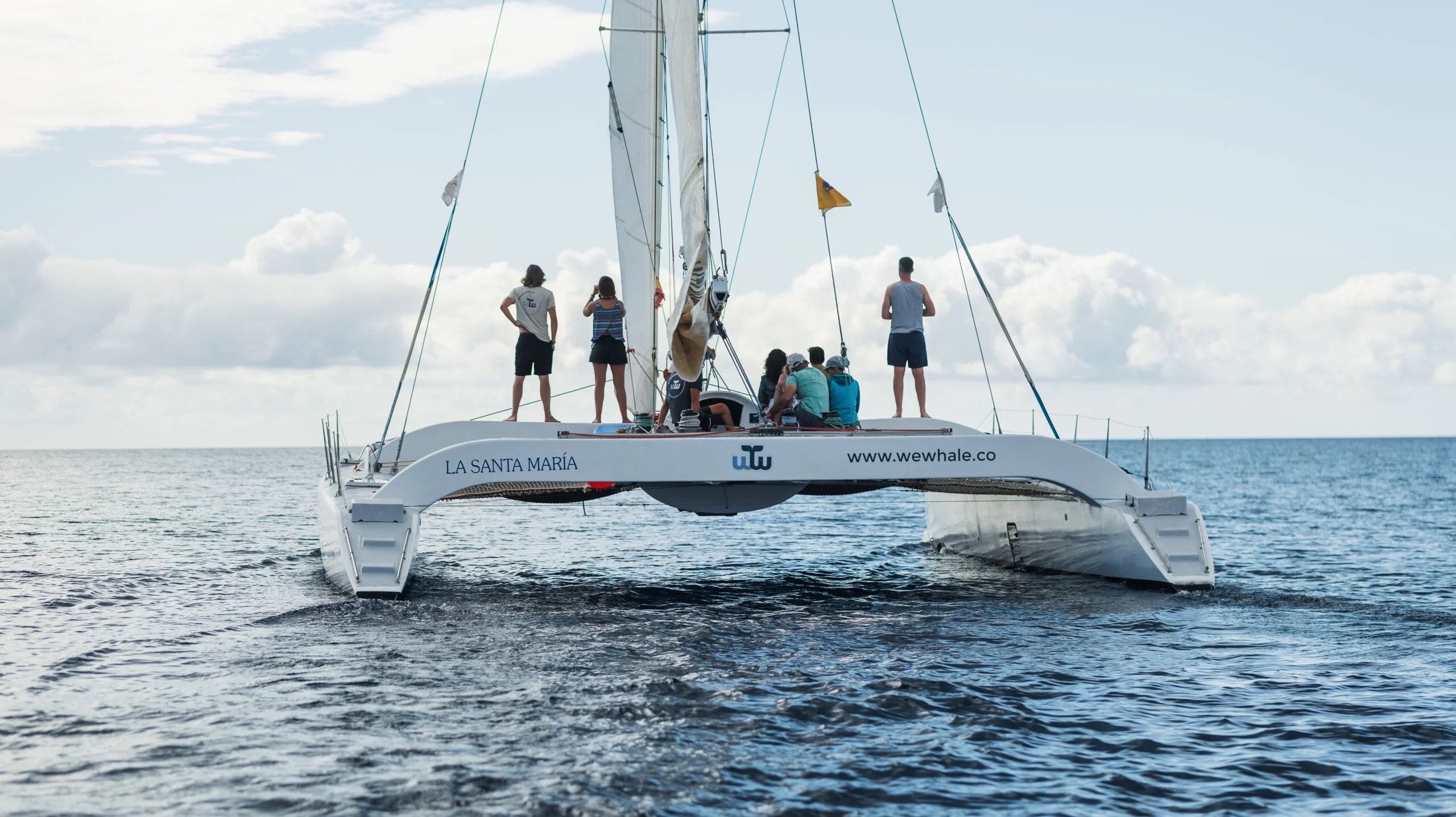 Whale & Dolphin Watching Boat Trip from Puerto Calero with Drinks & Snacks.
