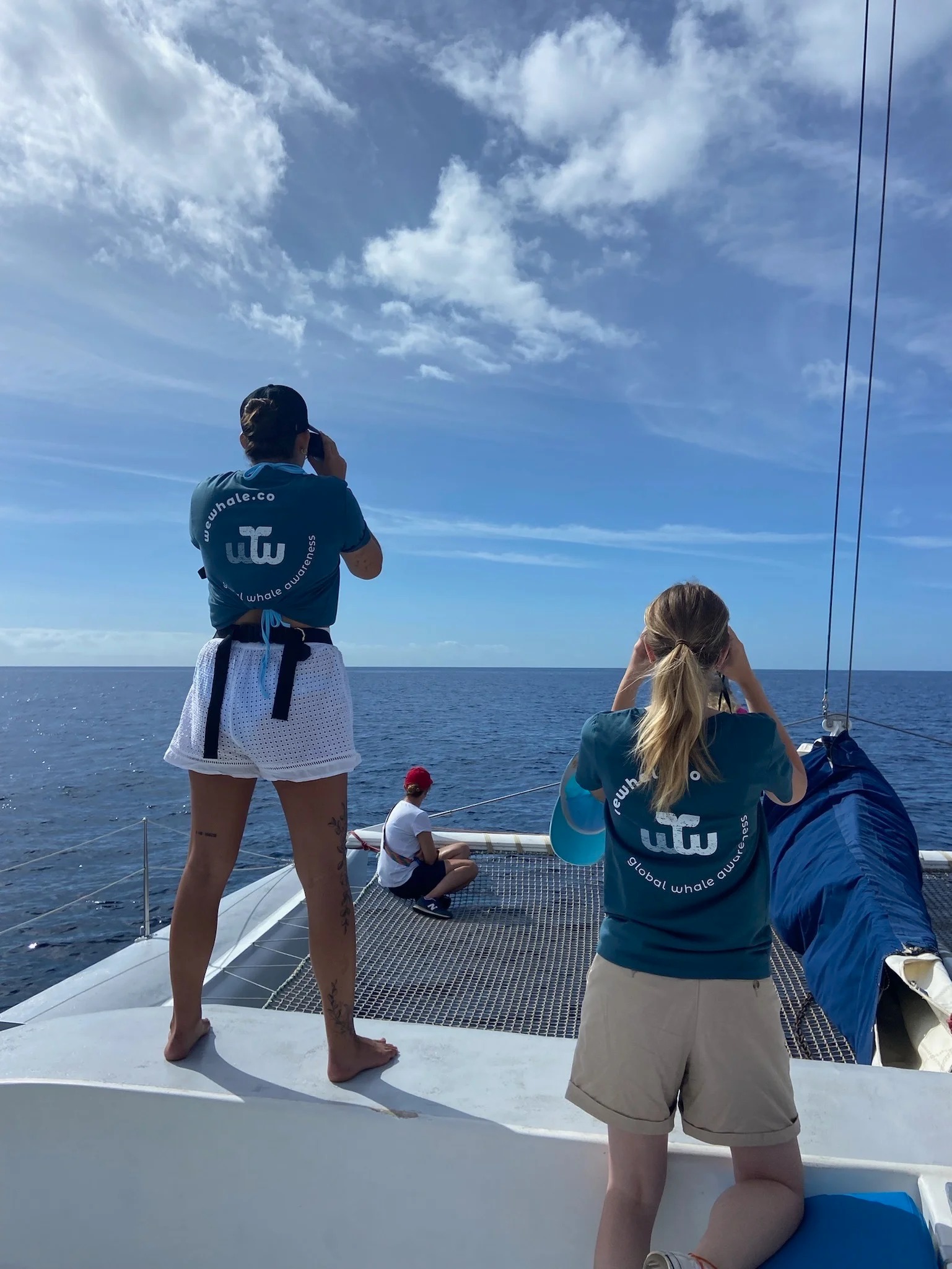 Whale & Dolphin Watching Boat Trip from Puerto Calero with Drinks & Snacks from WeWhale Lanzarote.