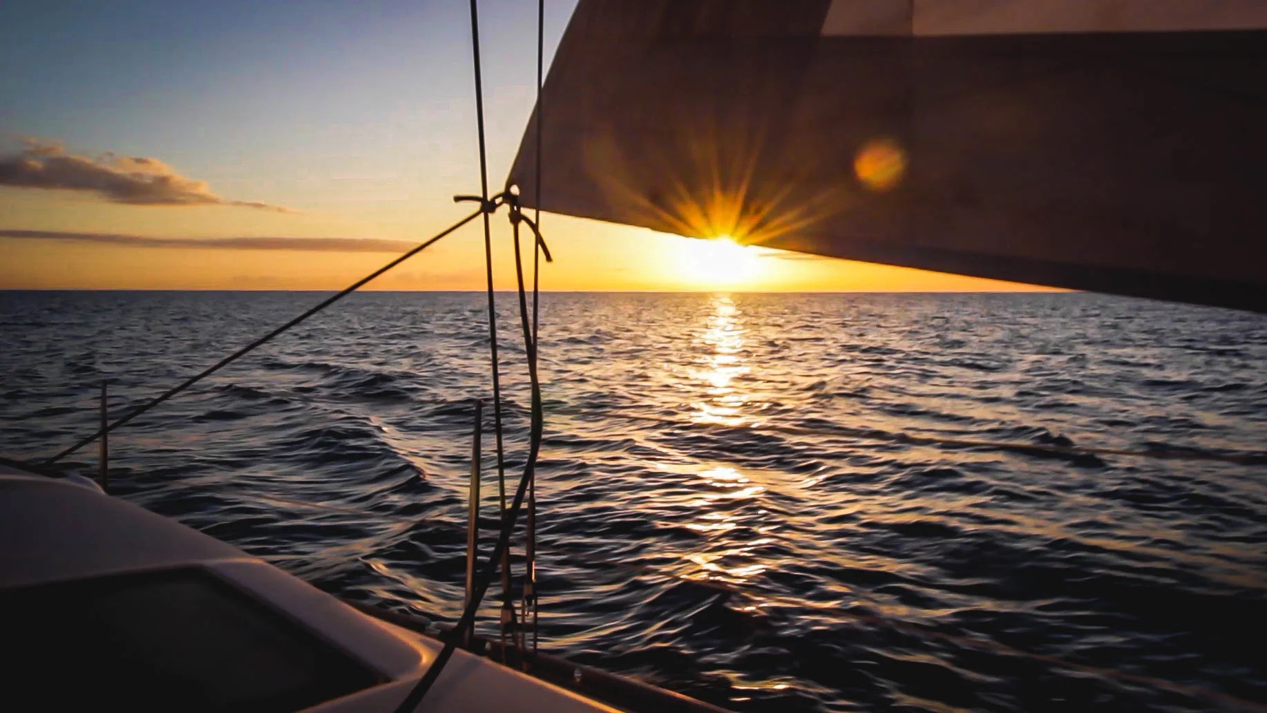 Zonsondergang zeiltocht met walvissen spotten vanuit Dénia, inclusief drankjes en snacks.