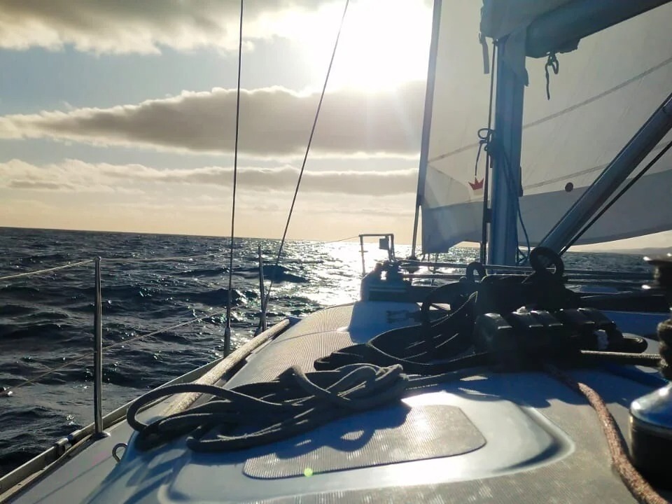 Privé zeiltocht bij zonsondergang om walvissen te spotten vanaf Dénia met WeWhale Dénia.