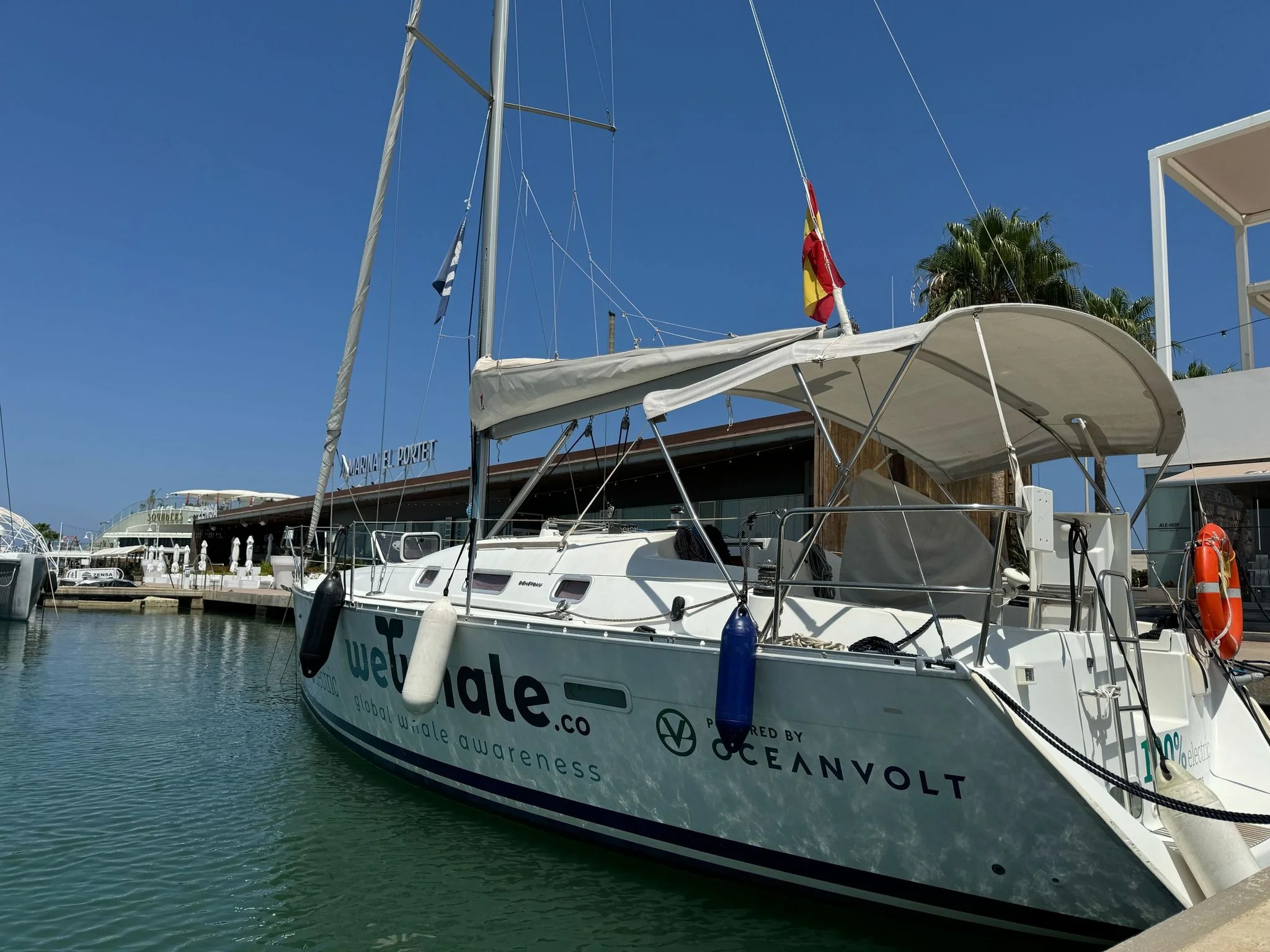 Privé zeiltocht om walvissen te spotten vanaf Dénia met WeWhale Dénia.