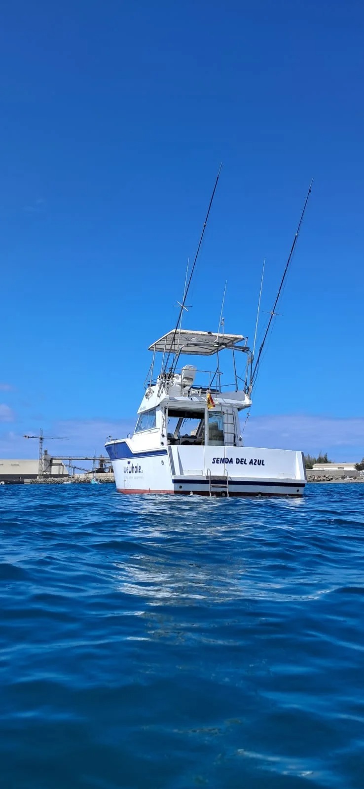 Bootstour bei Sonnenuntergang ab Gran Canaria mit Delfinbeobachtung, Getränken & Snacks mit WeWhale Gran Canaria.