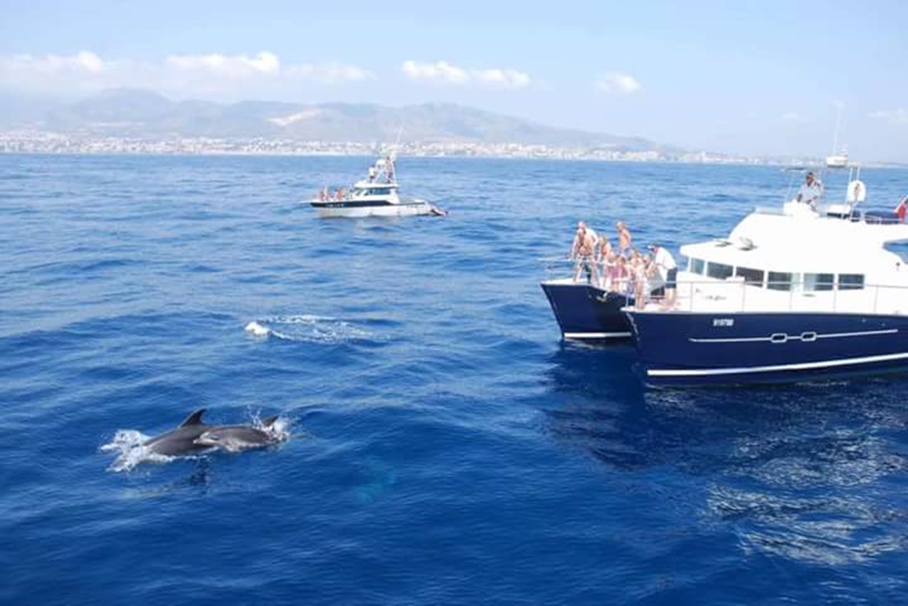Balade en catamaran Benalmádena - Benalmádena  & Baignade avec Borrasca Experience.