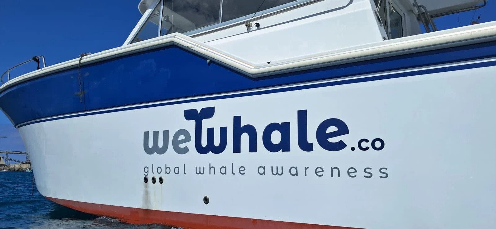 Private Sunset Boat Trip from Gran Canaria with Dolpin Watching from WeWhale Gran Canaria.