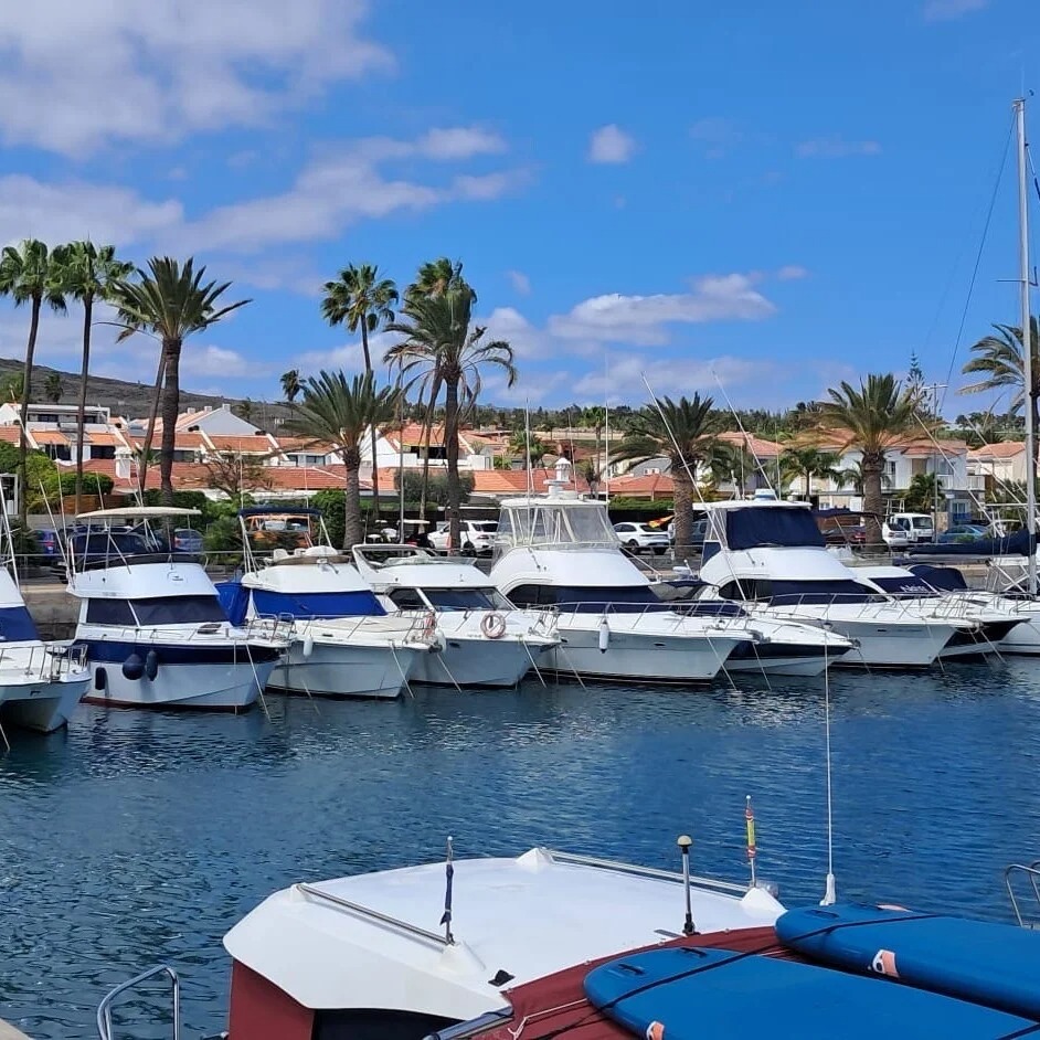 Paseo en barco desde Gran Canaria con avistamiento de delfines y ballenas con WeWhale Gran Canaria.