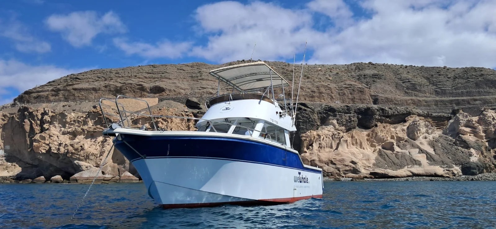 Paseo en barco desde Gran Canaria con avistamiento de delfines y ballenas.