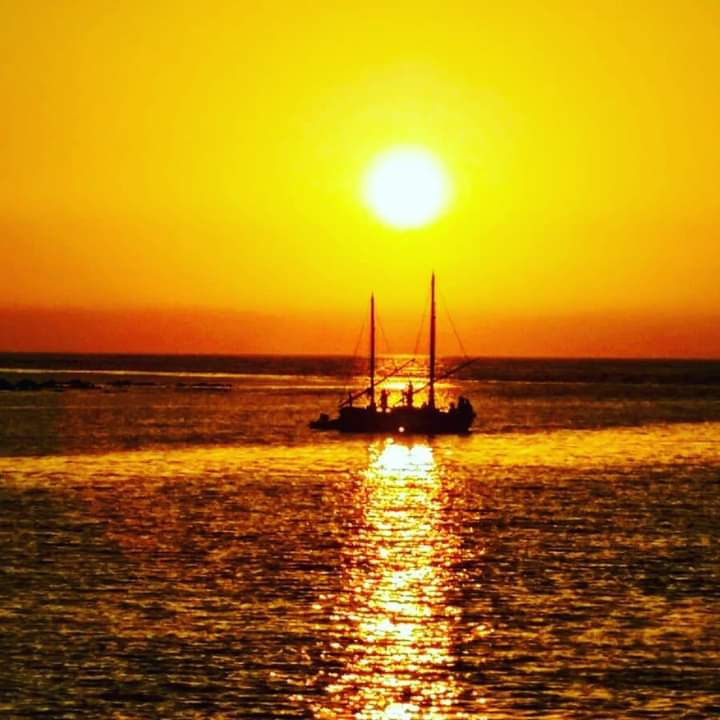 Sunset Sailing Trip along the Coast of Stintino with Apéritif from Asinara's Latin Sails.
