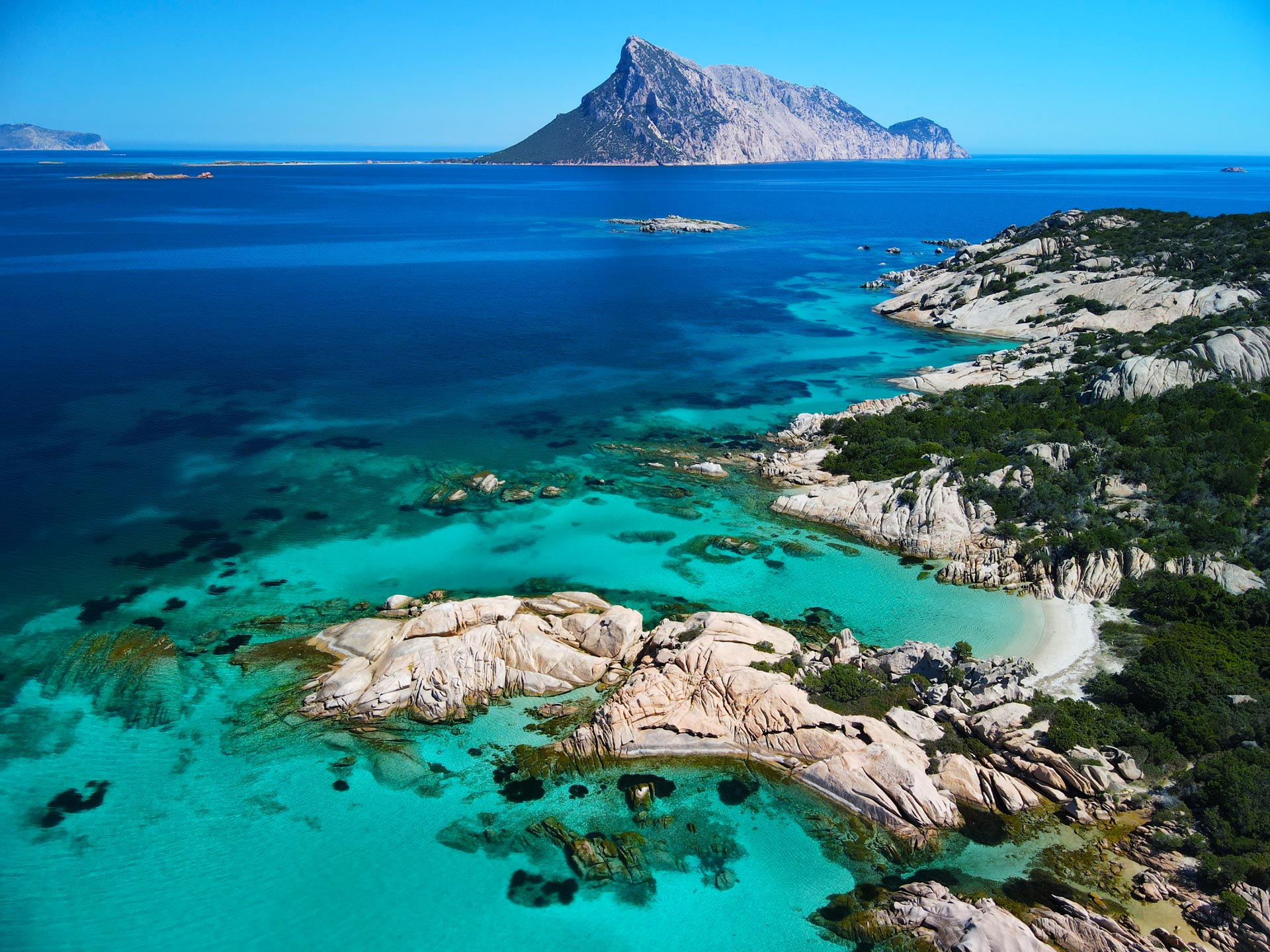 Bootstour von Porto San Teodoro nach Tavolara & Molara mit Mittagessen.