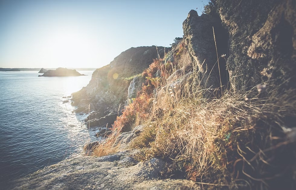 Bootstour von Roscoff - Insel Batz mit Wildtierbeobachtung & Sightseeing.