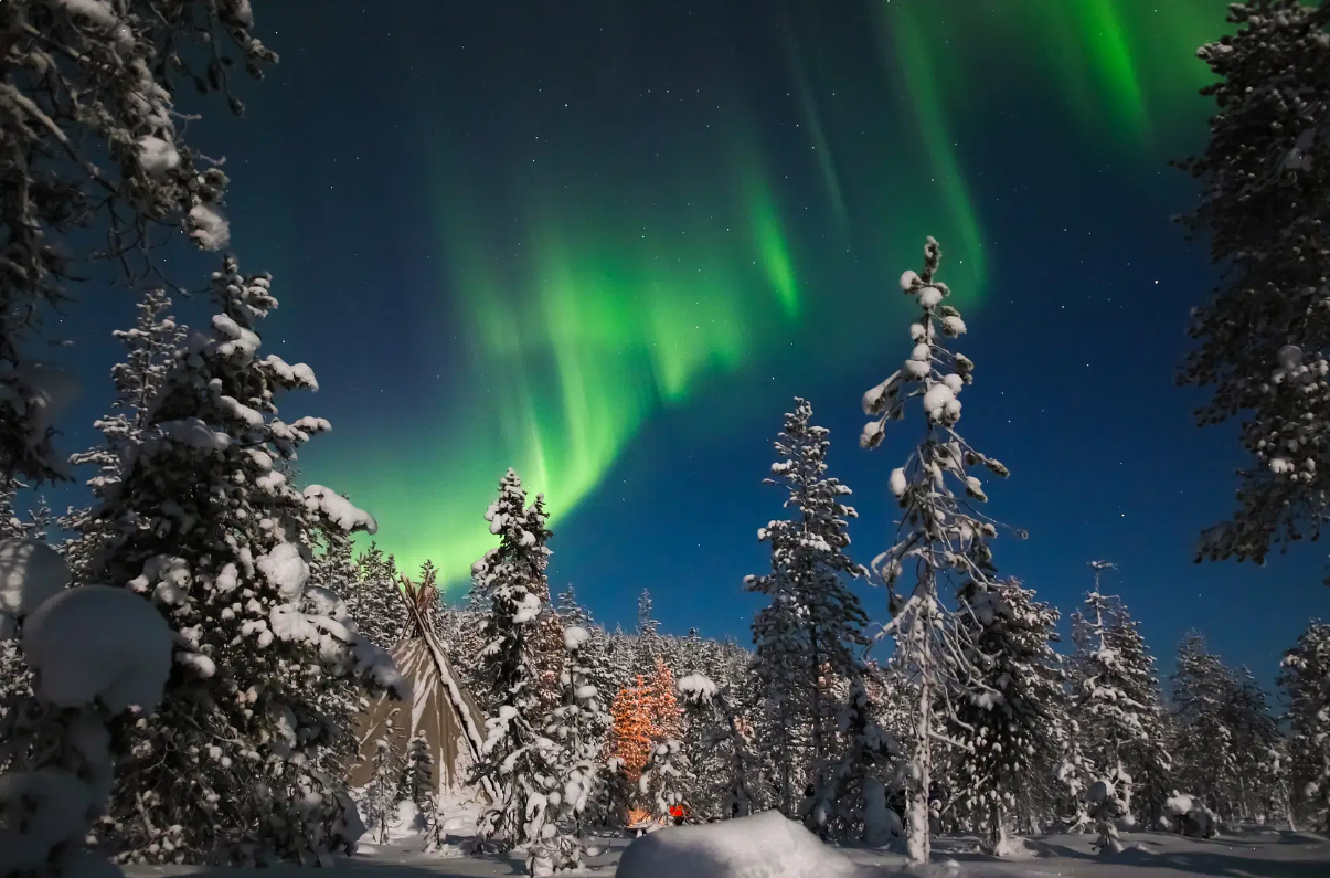 Northern Lights Photo Tour by Bus in Saariselkä from Safartica.