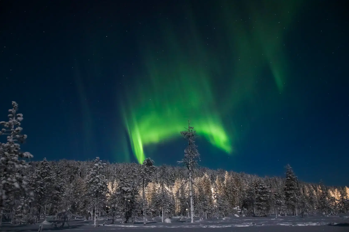 Northern Lights Photo Tour by Bus in Saariselkä.