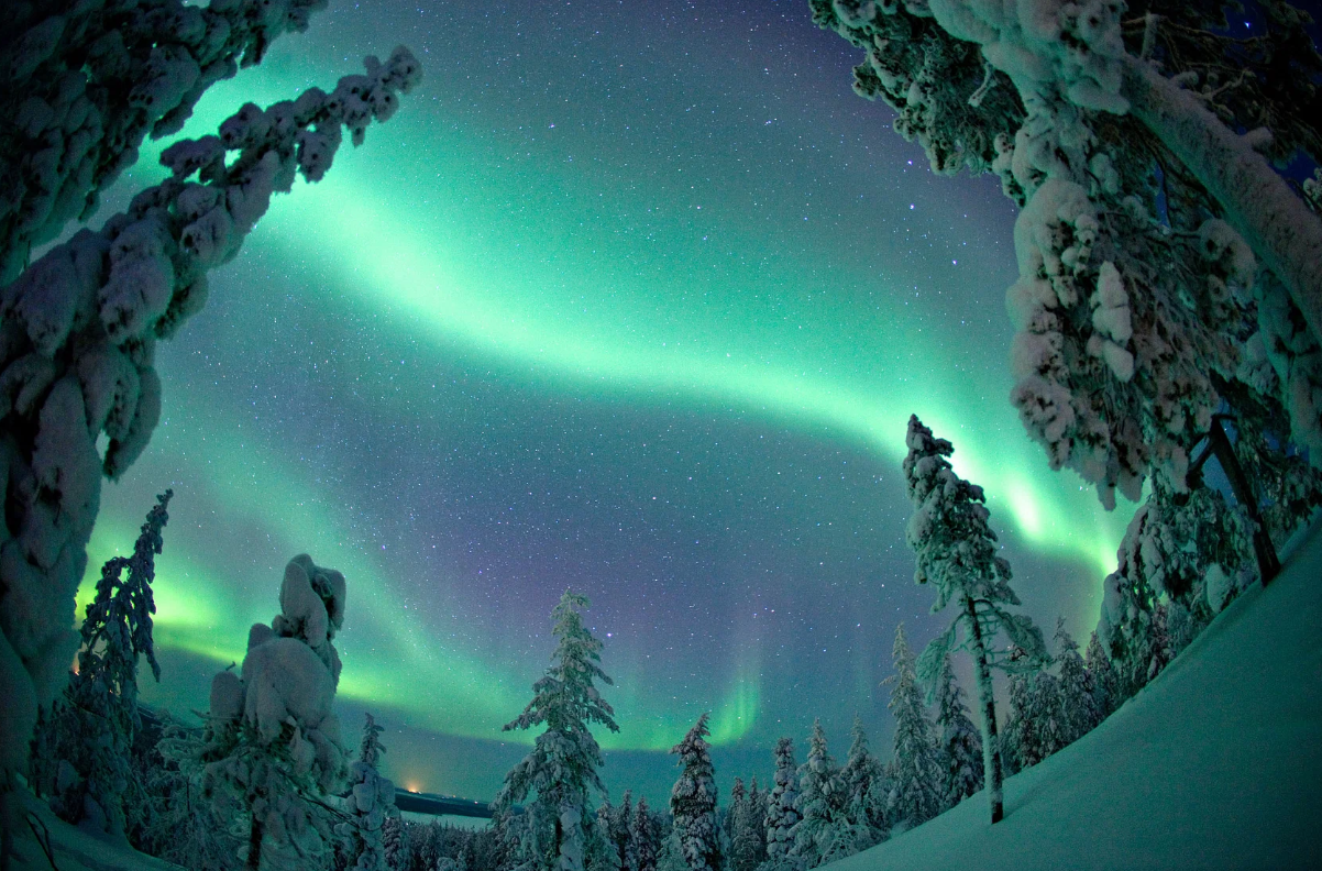 Excursion en bus aux Aurores boréales avec Photos à Rovaniemi avec Safartica Rovaniemi.