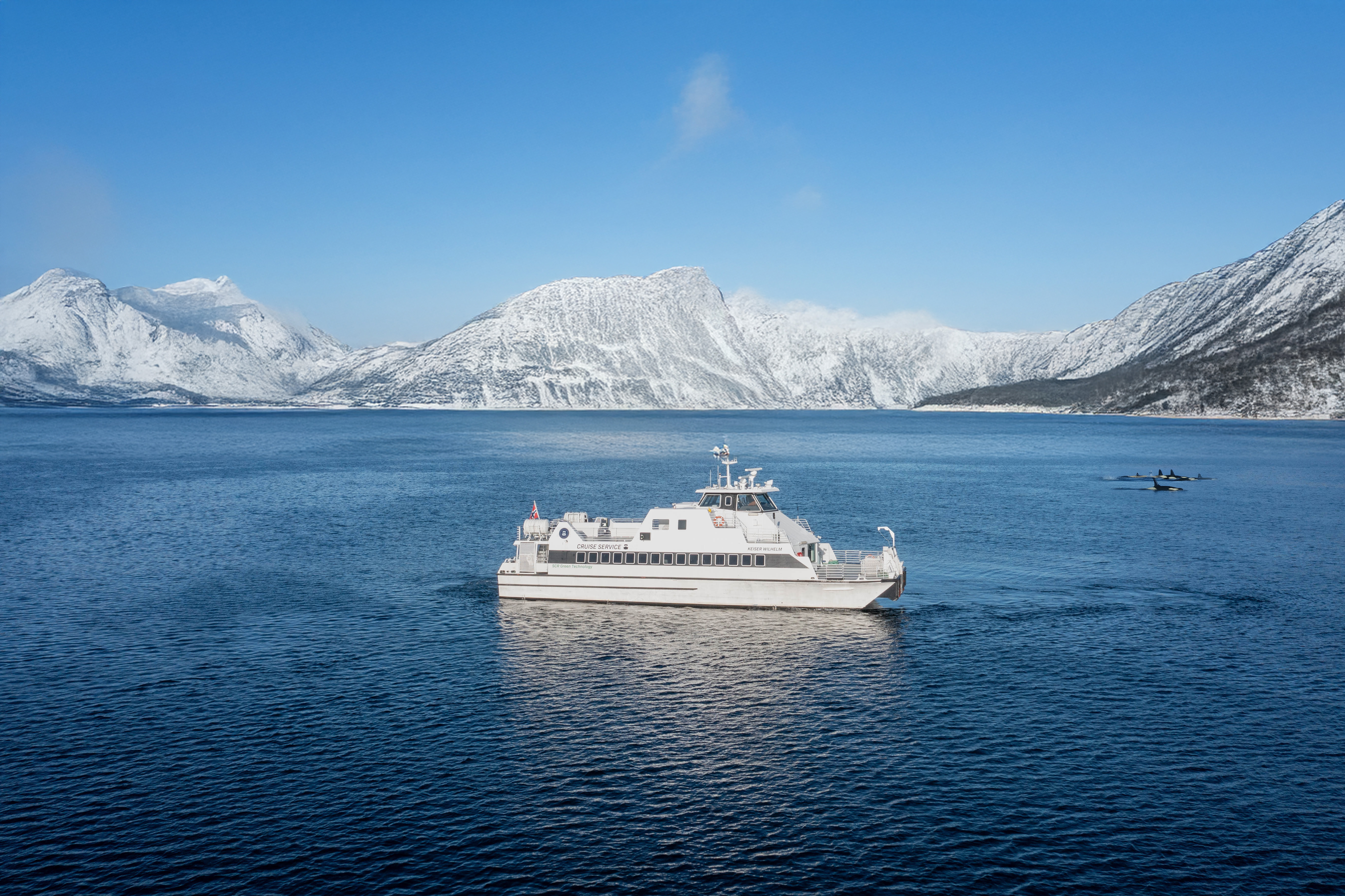 Boat Trip in Tromsø with Orca & Whale Watching with MS Keiser Wilhelm from Cruise Service AS.