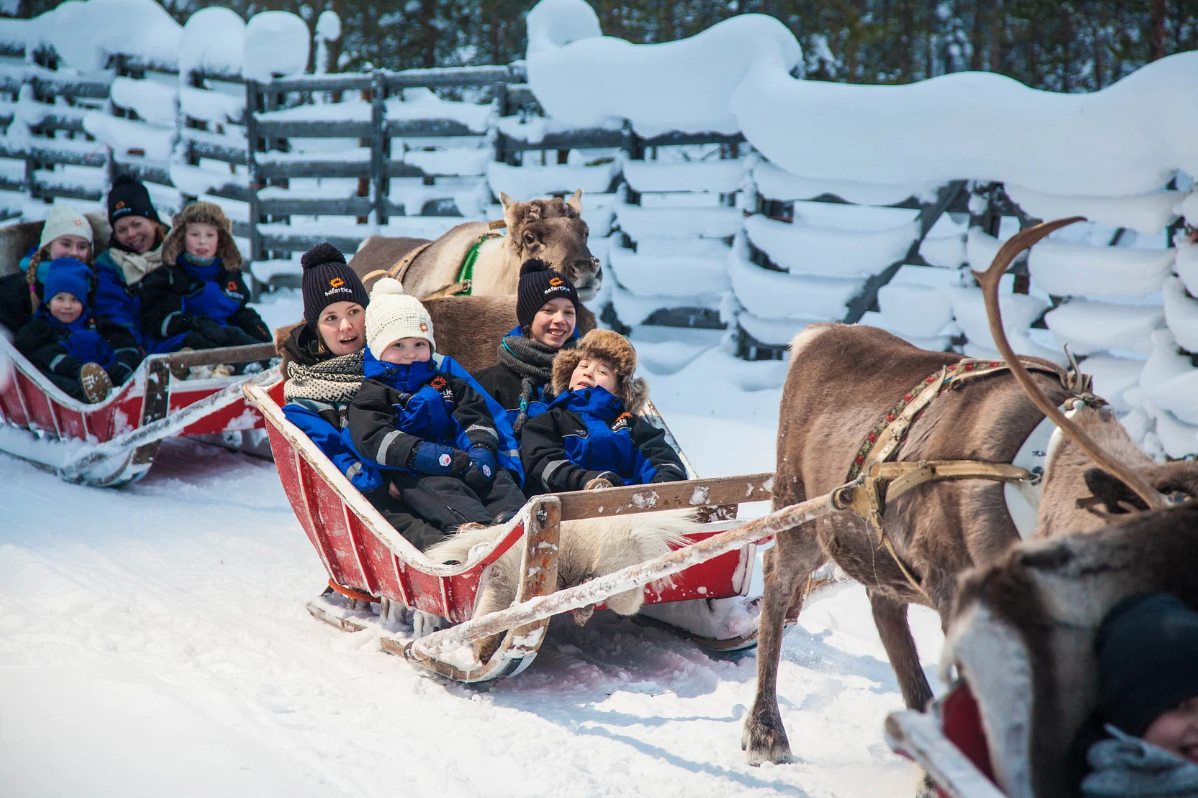 Balade en traîneau à Rennes à Rovaniemi avec Boissons & Collation avec Safartica Rovaniemi.