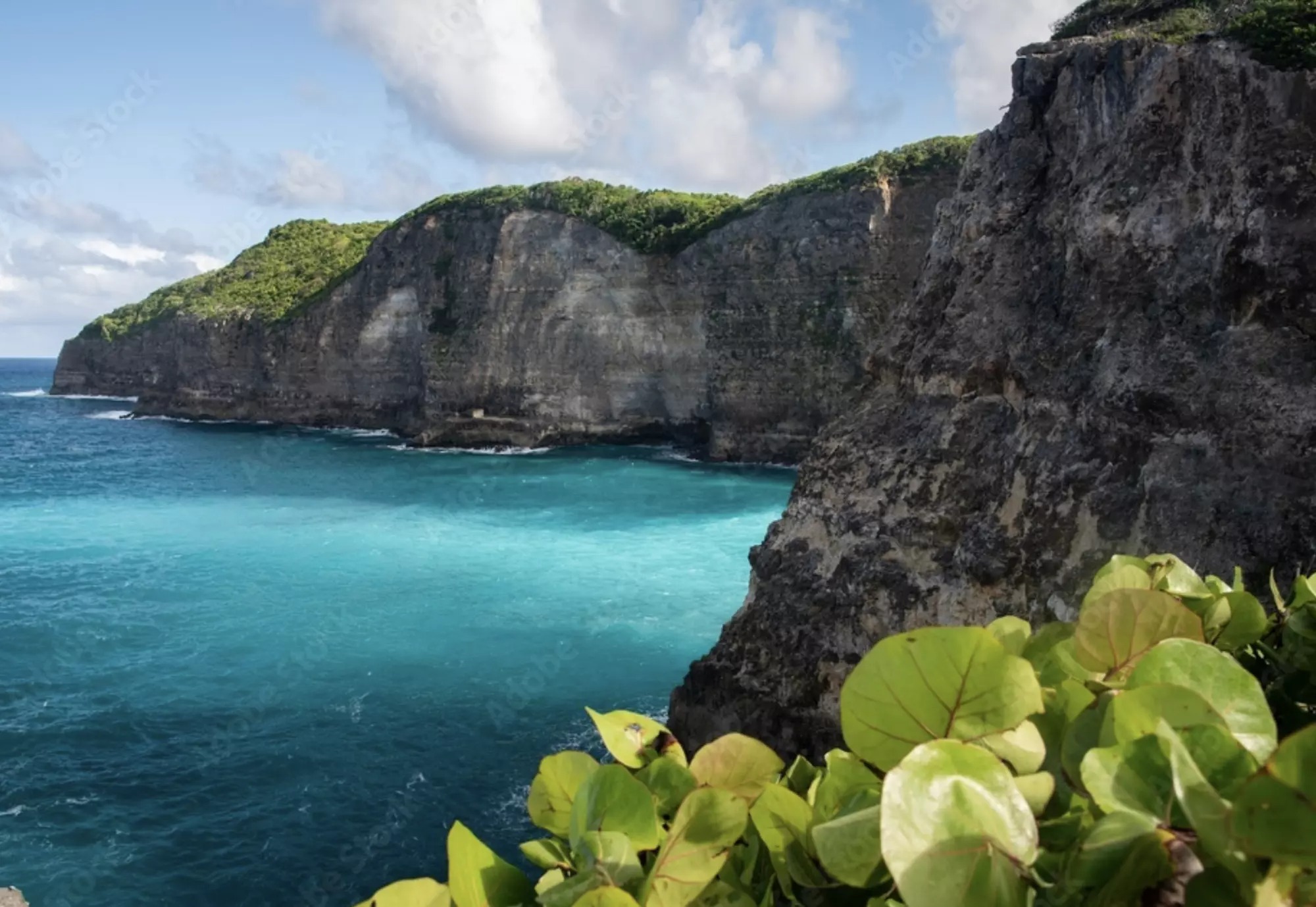 Boottocht van Pointe-à-Pitre naar Marie-Galante met zwemmen & toeristische attracties.
