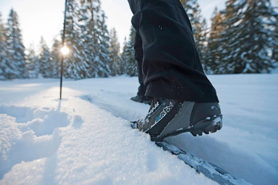 Private Cross Country Skiing Lessons for All Levels