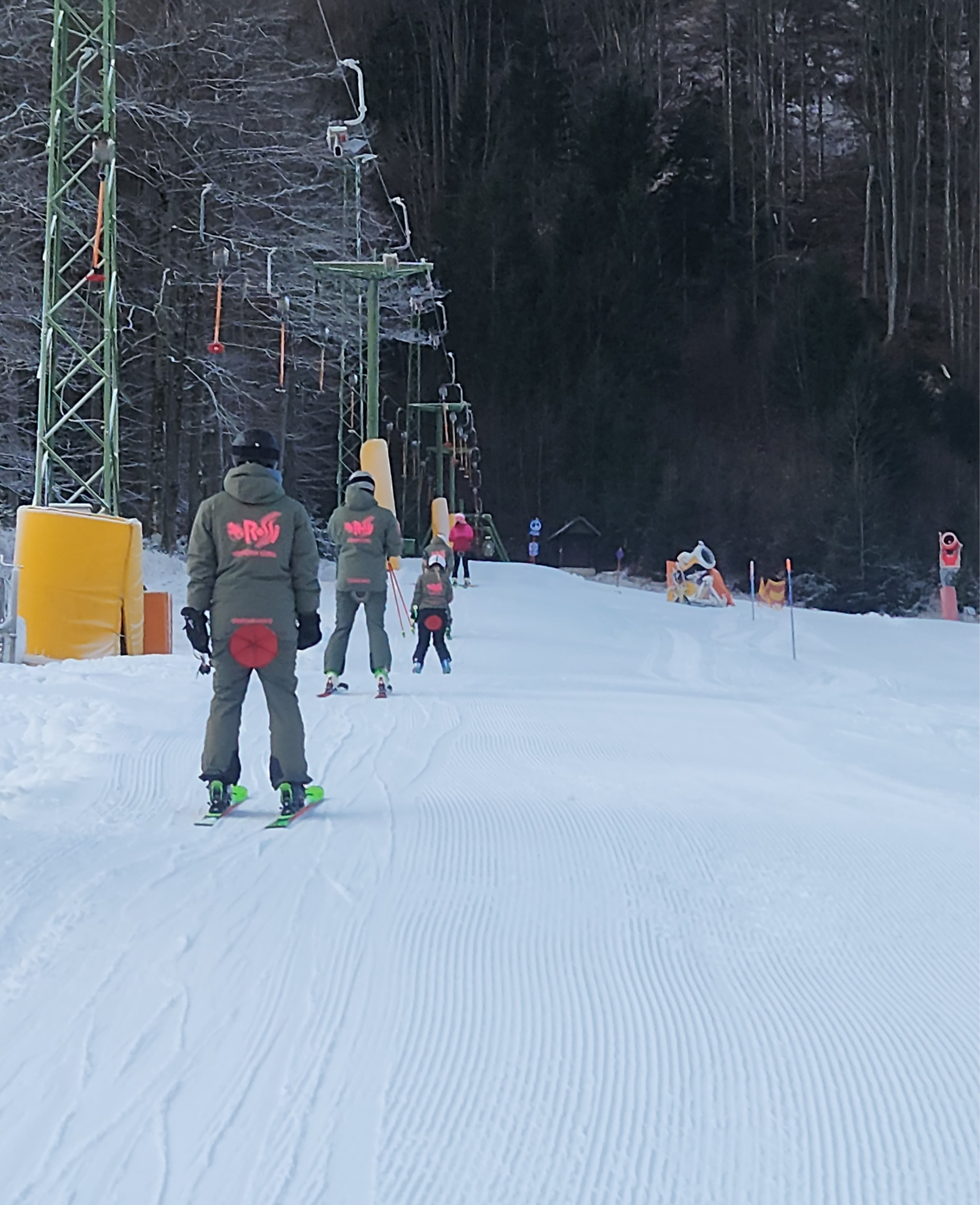 Cours de ski Adultes pour Skieurs expérimentés.