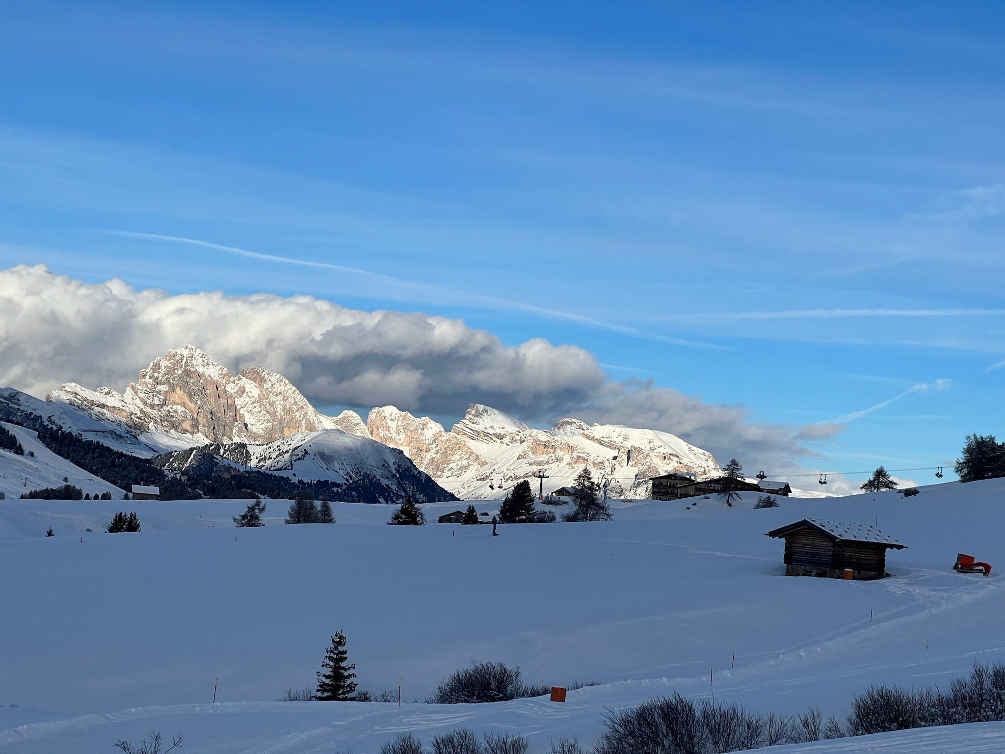Privé skilessen voor volwassenen vanaf 8 jaar.
