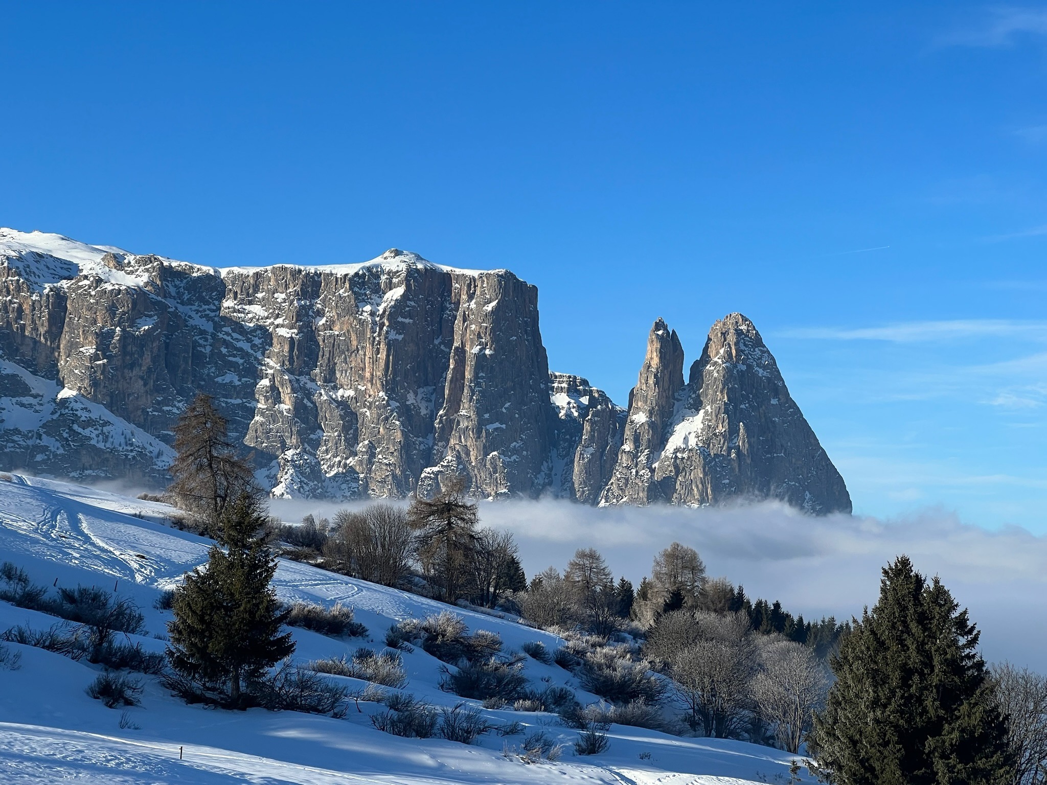 Privé skilessen voor volwassenen vanaf 8 jaar - gevorderd met Dolomites on SKI.