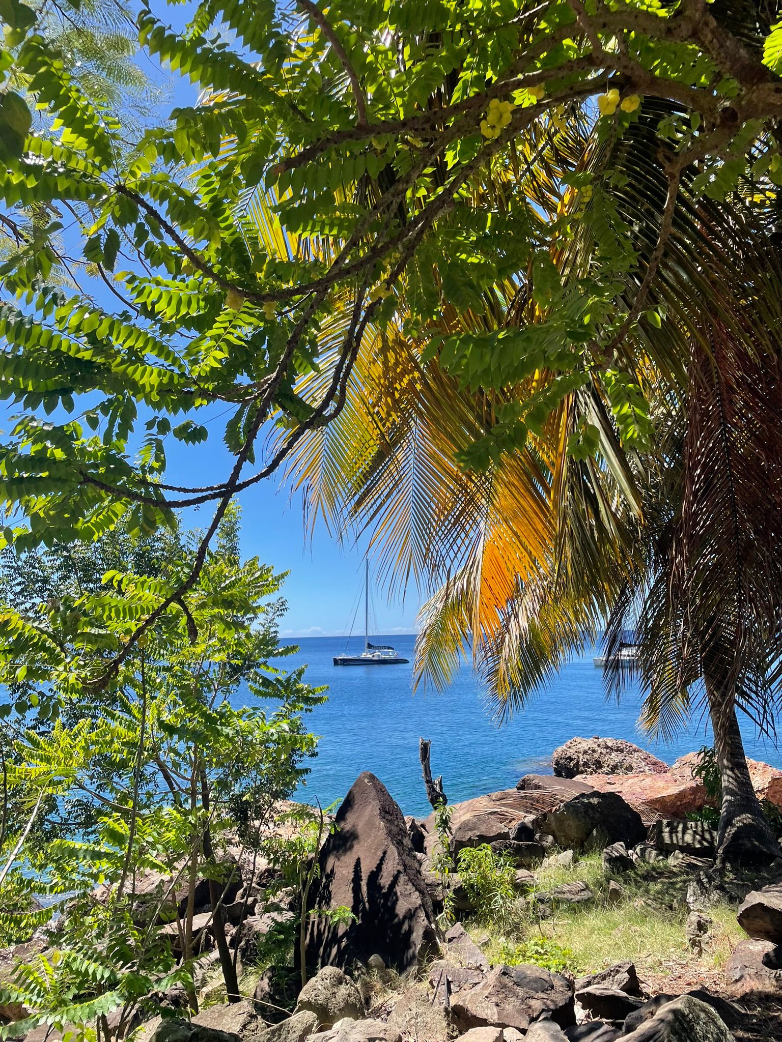 Balade en catamaran de Terre-de-Haut à îlet à Cabrit & Pain de Sucre.