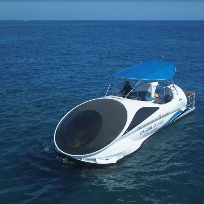 Balade en bateau à fond de verre de Saint-Gilles avec Observation des cétacés avec Visiobul Sea Life Reunion.