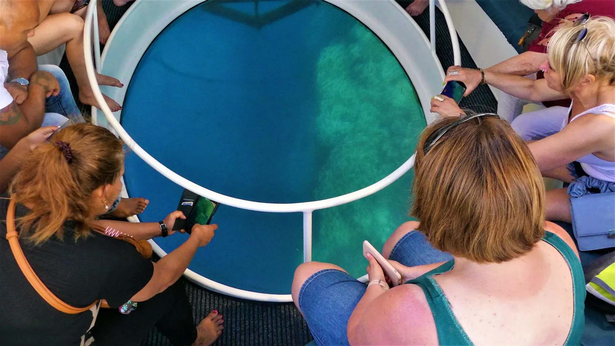 Balade en bateau à fond de verre de Saint-Gilles avec Observation des cétacés.