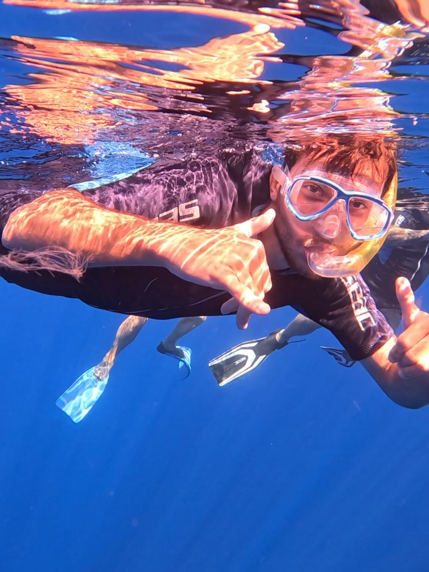 Paseo en barco desde Saint-Gilles con avistamiento de delfines y esnórquel con Visiobul Sea Life Reunion.