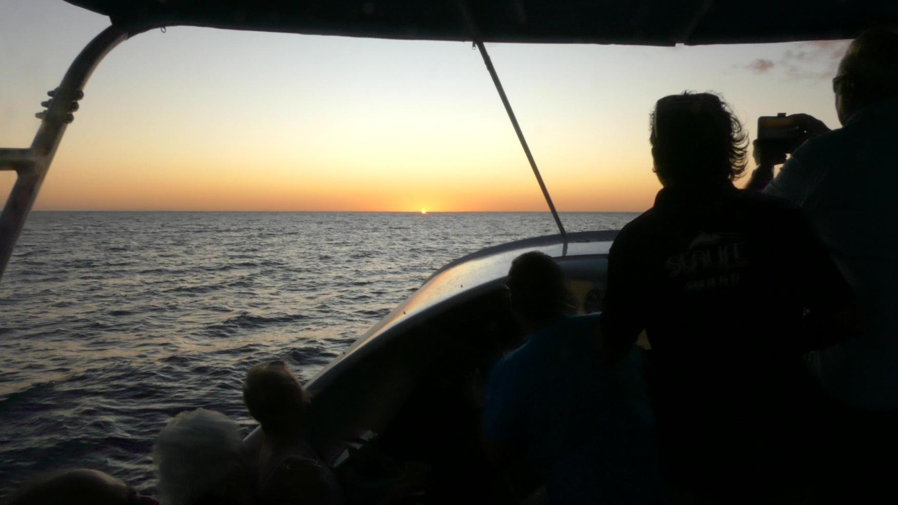 Bootstour bei Sonnenuntergang ab Saint-Gilles mit Aperitif mit Visiobul Sea Life Reunion.