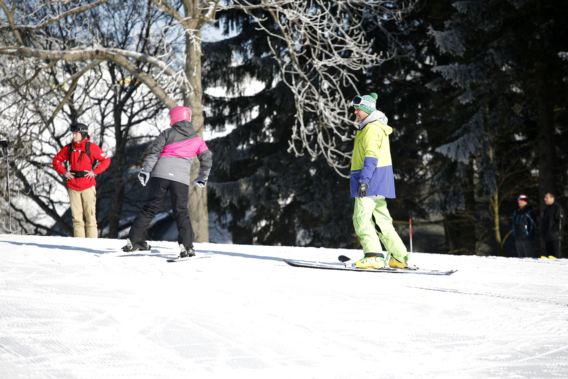 Skilessen voor volwassenen (vanaf 13 jaar) met ski-ervaring.