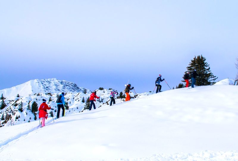 Snowshoeing Tour for All Levels.