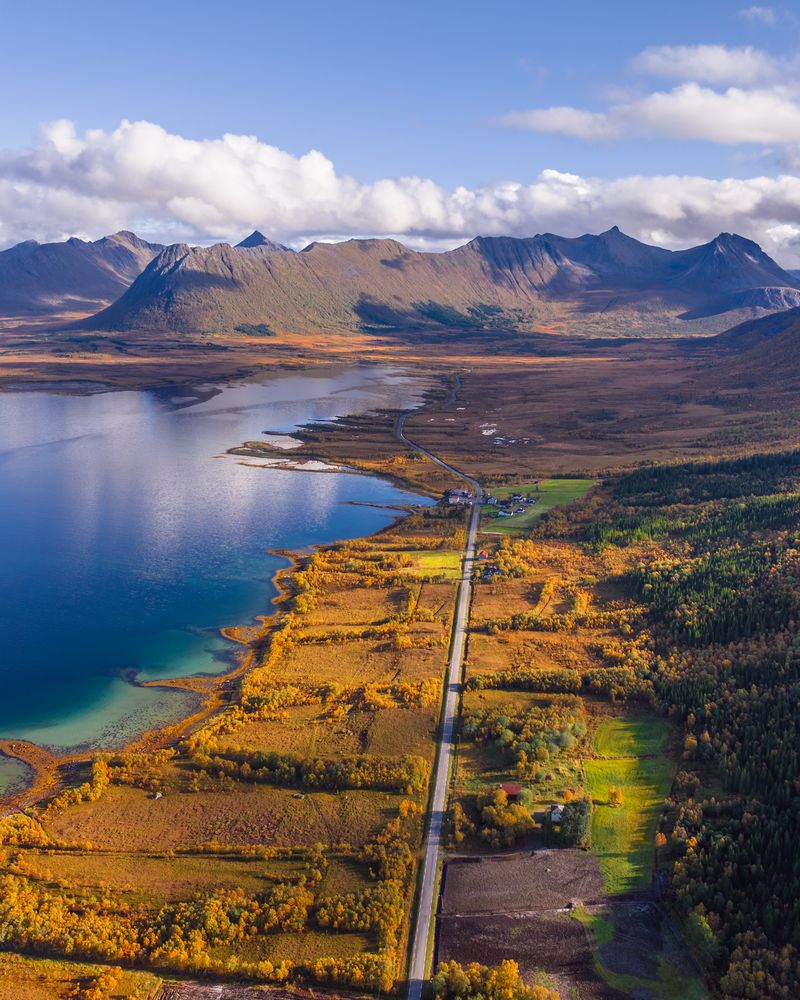 Circuit panoramique en minivan à Andøya et découverte de la faune locale avec Vesterålen Tours Sortland.