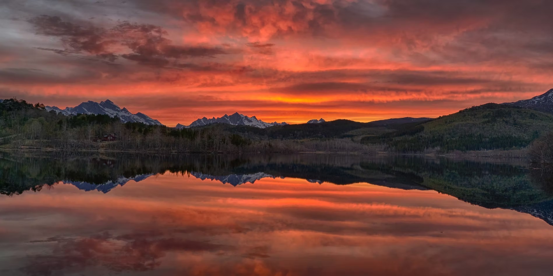 Andøya Minivan Panoramaroute & Wildtierbeobachtung.