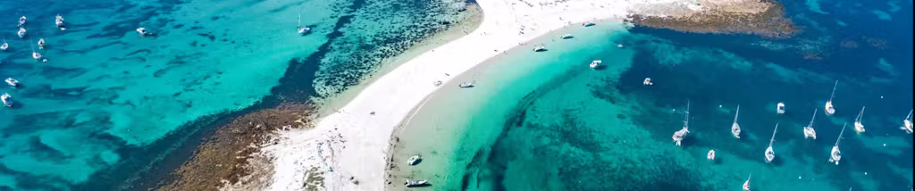 Catamaran Day trip to discover the Glénan archipelago with Swimming.