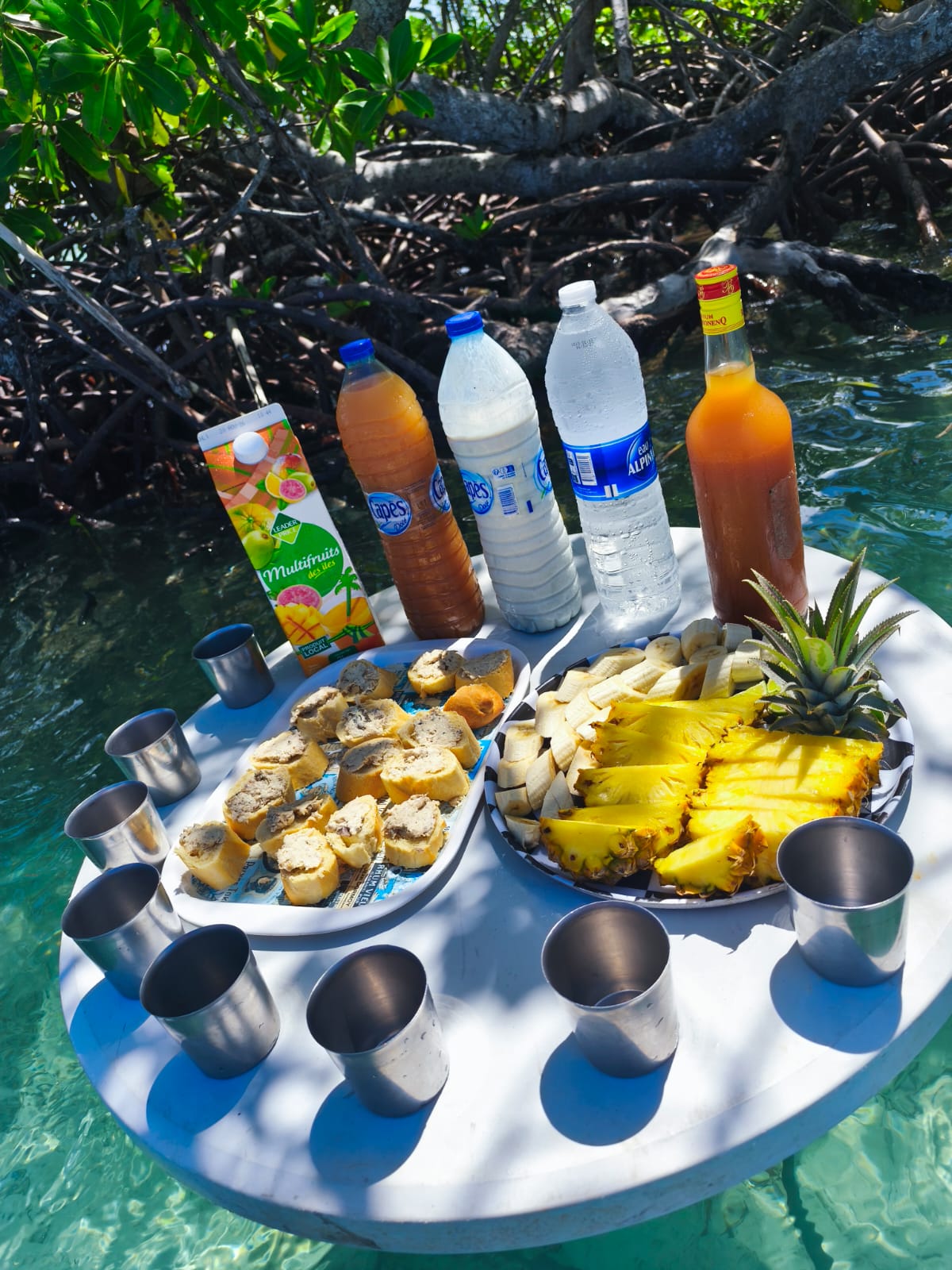 Half Day Boat Trip in Grand Cul-de-sac marin with Aperitif & Swimming.