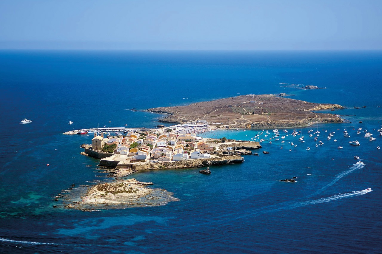 Glasboden-Katamarantour von Torrevieja nach Tabarca mit Delfinbeobachtung mit Marítimas Torrevieja.