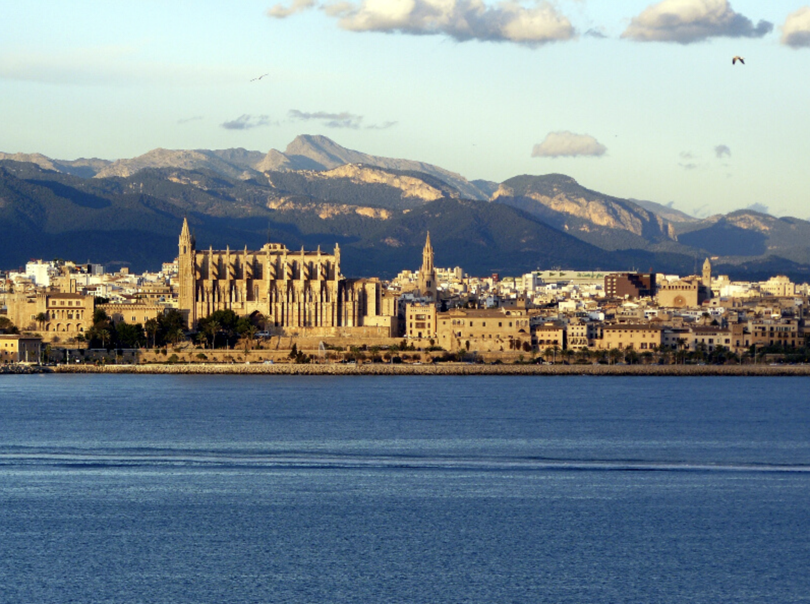 Boat Trip from El Arenal & Can Pastilla to Illetas with Swimming from LIFE & SEA Mallorca.