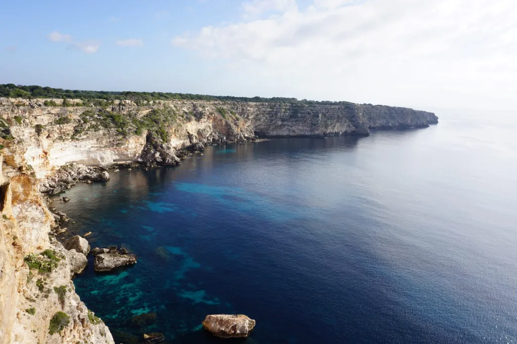 Bootstour von Plaja del Arenal - Plaja del Arenal mit Life & Sea Mallorca.