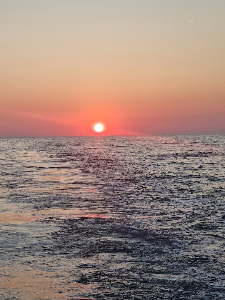 Gita in barca al tramonto da Pula al Parco Nazionale di Brioni con avvistamento dei delfini con Istra Holidays.