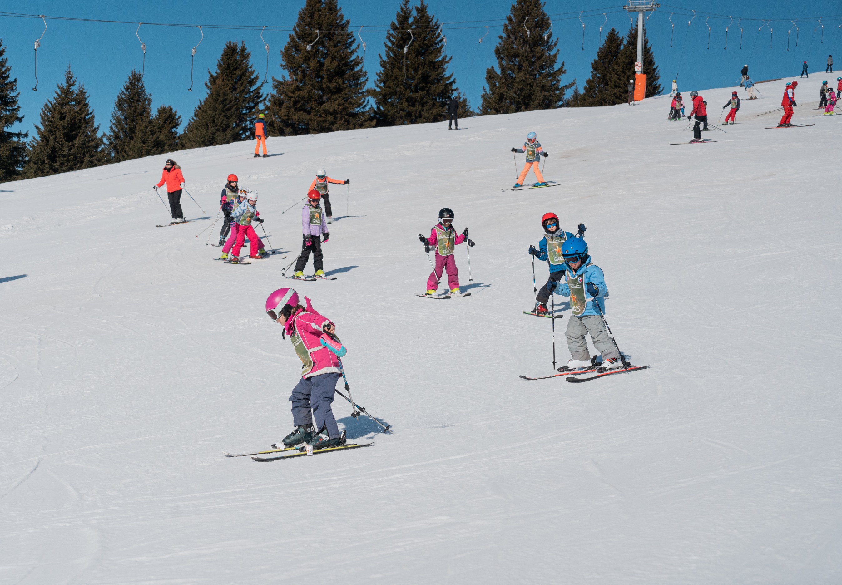 Kids Ski Lessons (6-12 y.) for All Levels.