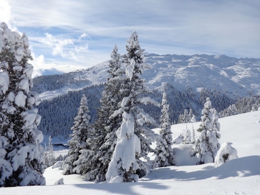 Private Ski Guide in Samnaun