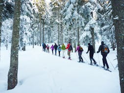 A group of people is doing snowshoeing through a wood during the Snowshoeing Tours for All Levels in the Schneesportschule Black Forest Magic Feldberg.