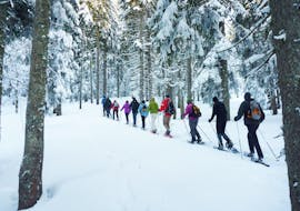 Sneeuwschoenwandelingen voor alle niveaus met Skischool Black Forest Magic Feldberg.